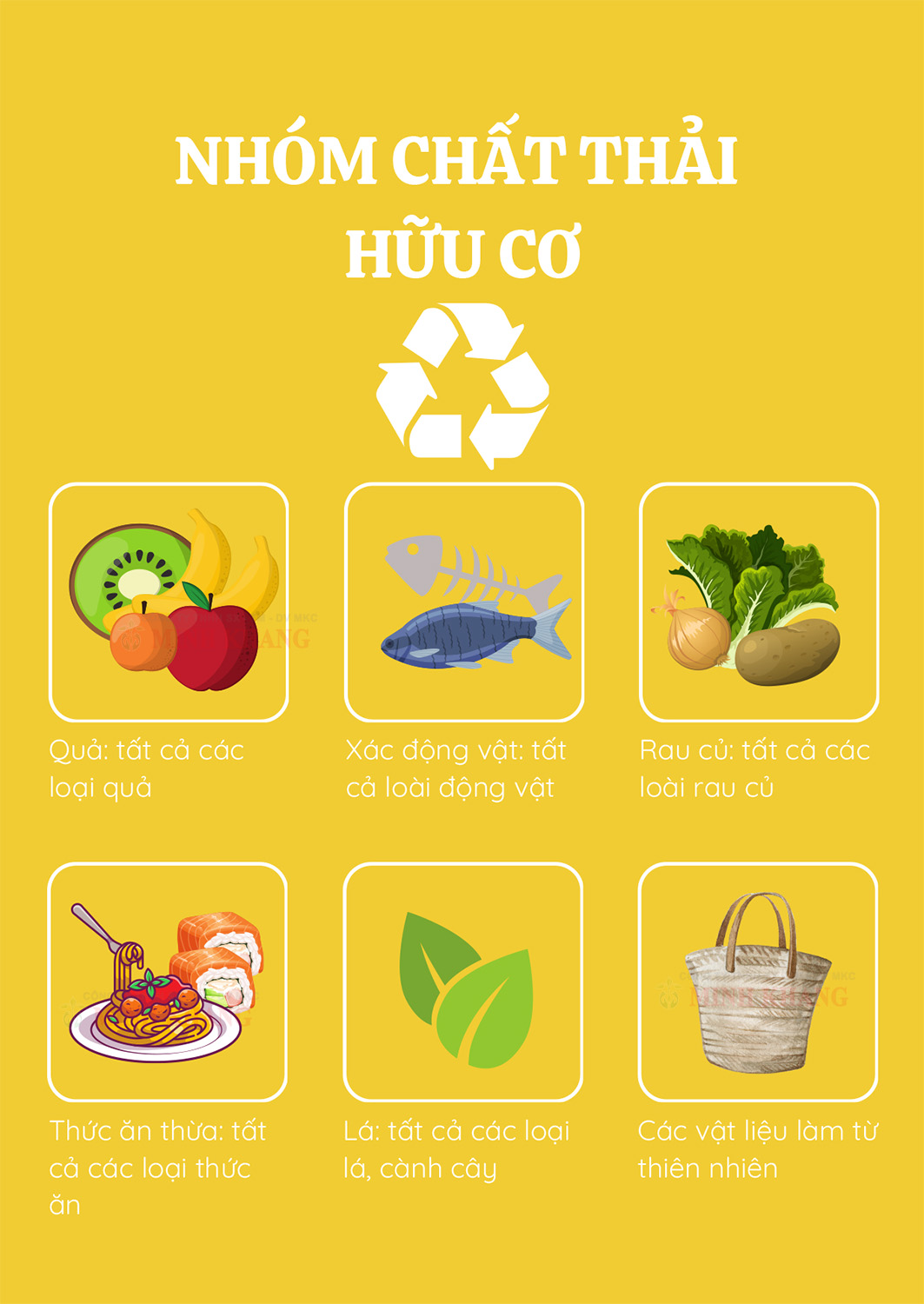 Có bao nhiêu loại logo phân loại rác thải được sử dụng hiện nay?